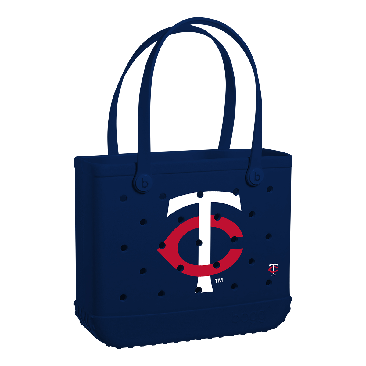 Baby_Minnesota-Twins_A.png
