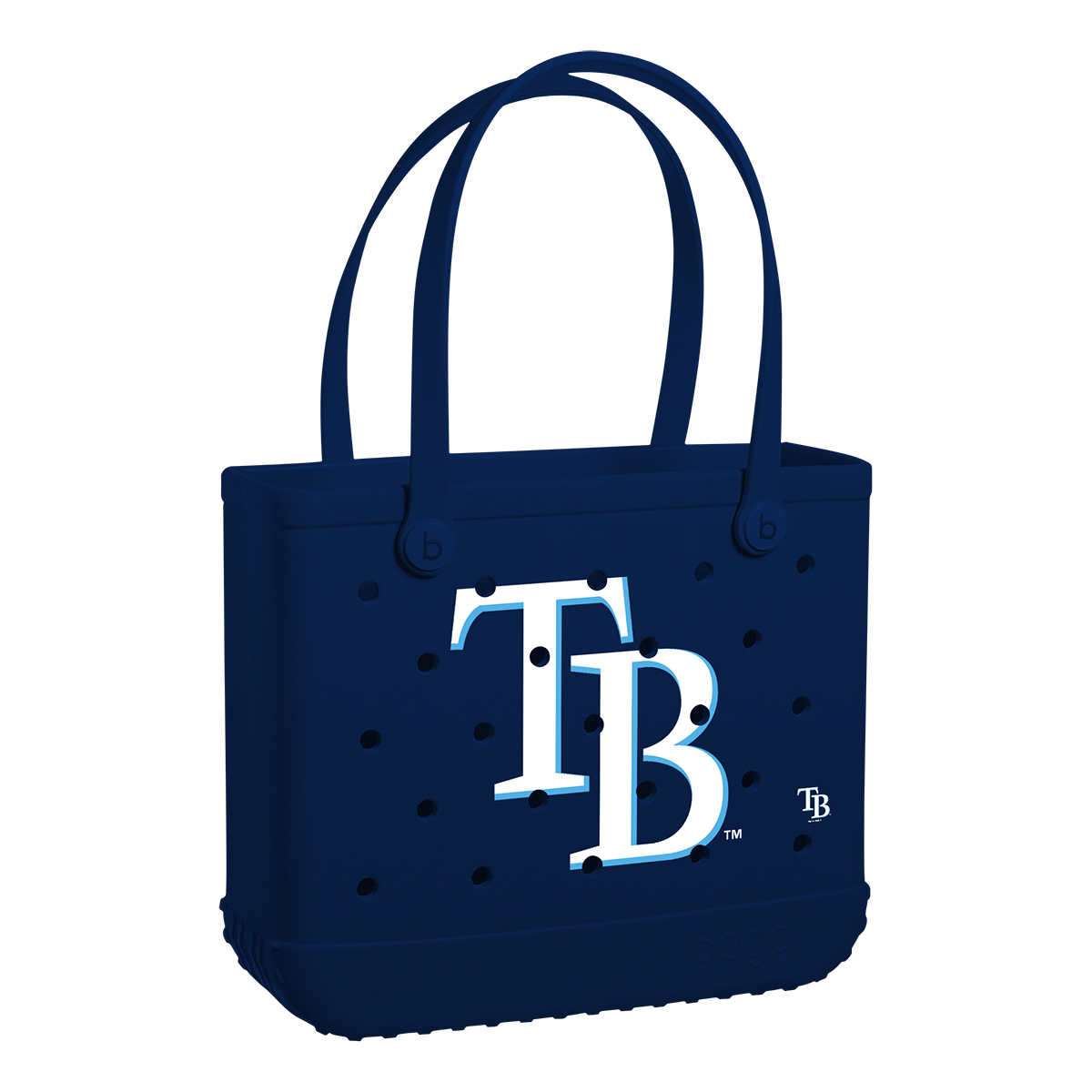 Baby_Tampa-Bay-Rays_A.png