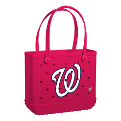 Baby Bogg Bag - Washington Nationals
