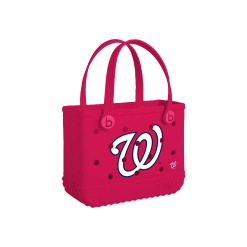 Bitty Bogg Bag - Washington Nationals